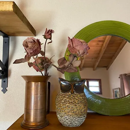 Casa Da Carolina Σπίτι διακοπών Lousã