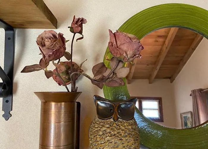 Casa Da Carolina Casa de Férias Lousã