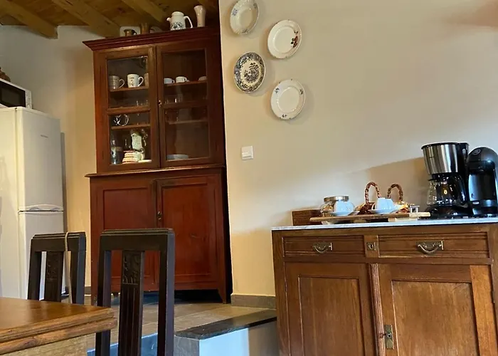 Casa Da Carolina Lousã